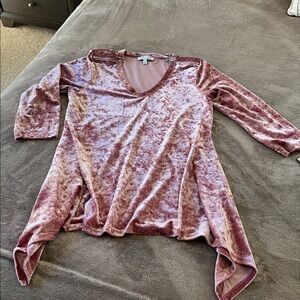 Chaus Blush Velvet Top